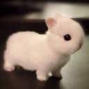 สมาชิกหมายเลข 1401871