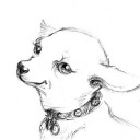 สมาชิกหมายเลข 2235455