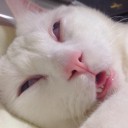 สมาชิกหมายเลข 2235693