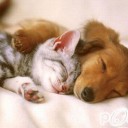 สมาชิกหมายเลข 996711