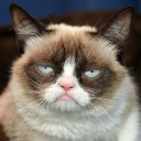 สมาชิกหมายเลข 3038772