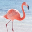 สมาชิกหมายเลข 2707739