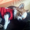 สมาชิกหมายเลข 2420206