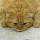 อนุมัติตามที่ขอมา