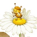 สมาชิกหมายเลข 997827