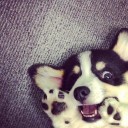 สมาชิกหมายเลข 997887