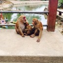 สมาชิกหมายเลข 2236889