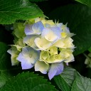 สมาชิกหมายเลข 2922023