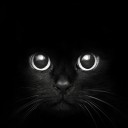 สมาชิกหมายเลข 3039962