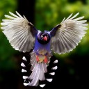 สมาชิกหมายเลข 1283879