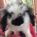 [-ฟองอากาศสีน้ำเงิน-]