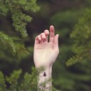 สมาชิกหมายเลข 1370740