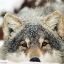 สมาชิกหมายเลข 1828107