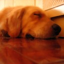 สมาชิกหมายเลข 3040425