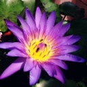 สมาชิกหมายเลข 3040560