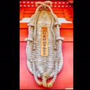 สมาชิกหมายเลข 1845569