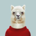 สมาชิกหมายเลข 2518306