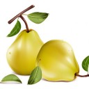 สมาชิกหมายเลข 3497569