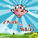 สายลมและนมวัว