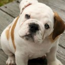 อย่าจ้องน้องเขิล