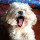 สมาชิกหมายเลข 998905