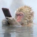 ตัวป่วน กวนไอที