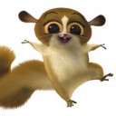 อยากเห็นกระรอกบินได้