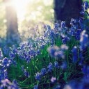 สมาชิกหมายเลข 1766597