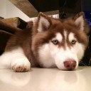 สมาชิกหมายเลข 2117449