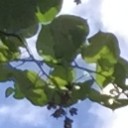 สมาชิกหมายเลข 2947538