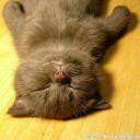 สมาชิกหมายเลข 845123