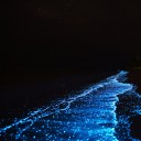 สมาชิกหมายเลข 1829096