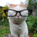 สมาชิกหมายเลข 1863087