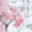 สมาชิกหมายเลข 1819119