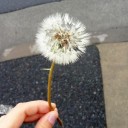 สมาชิกหมายเลข 1660574