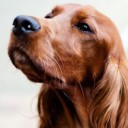 สมาชิกหมายเลข 3498899