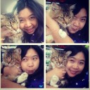 สมาชิกหมายเลข 816344