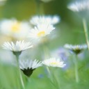 สมาชิกหมายเลข 918489