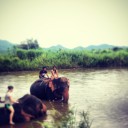 สมาชิกหมายเลข 999892