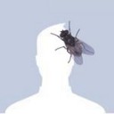 สมาชิกหมายเลข 1207083