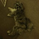 สมาชิกหมายเลข 939752