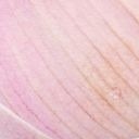 สมาชิกหมายเลข 1000032