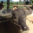 สมาชิกหมายเลข 1000296