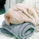 สมาชิกหมายเลข 999963