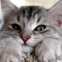 สมาชิกหมายเลข 1114576