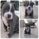 สมาชิกหมายเลข 1317559