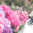 สมาชิกหมายเลข 1091199