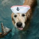 สมาชิกหมายเลข 1000553