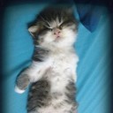 มารีคูส