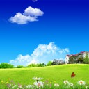 สมาชิกหมายเลข 1390165